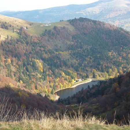 Chalet Trois Etoiles Xonrupt-Longemer Dış mekan fotoğraf