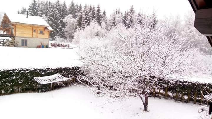 Chalet Trois Etoiles Xonrupt-Longemer Dış mekan fotoğraf